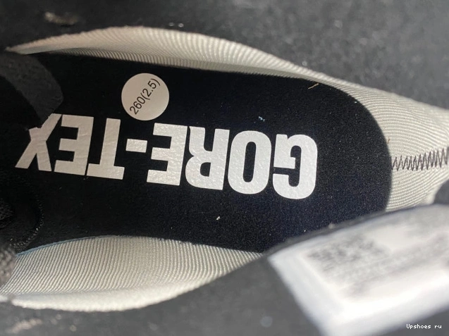  DB2889-500 Element 1 Gore-Tex Jordan  Berry High 1020